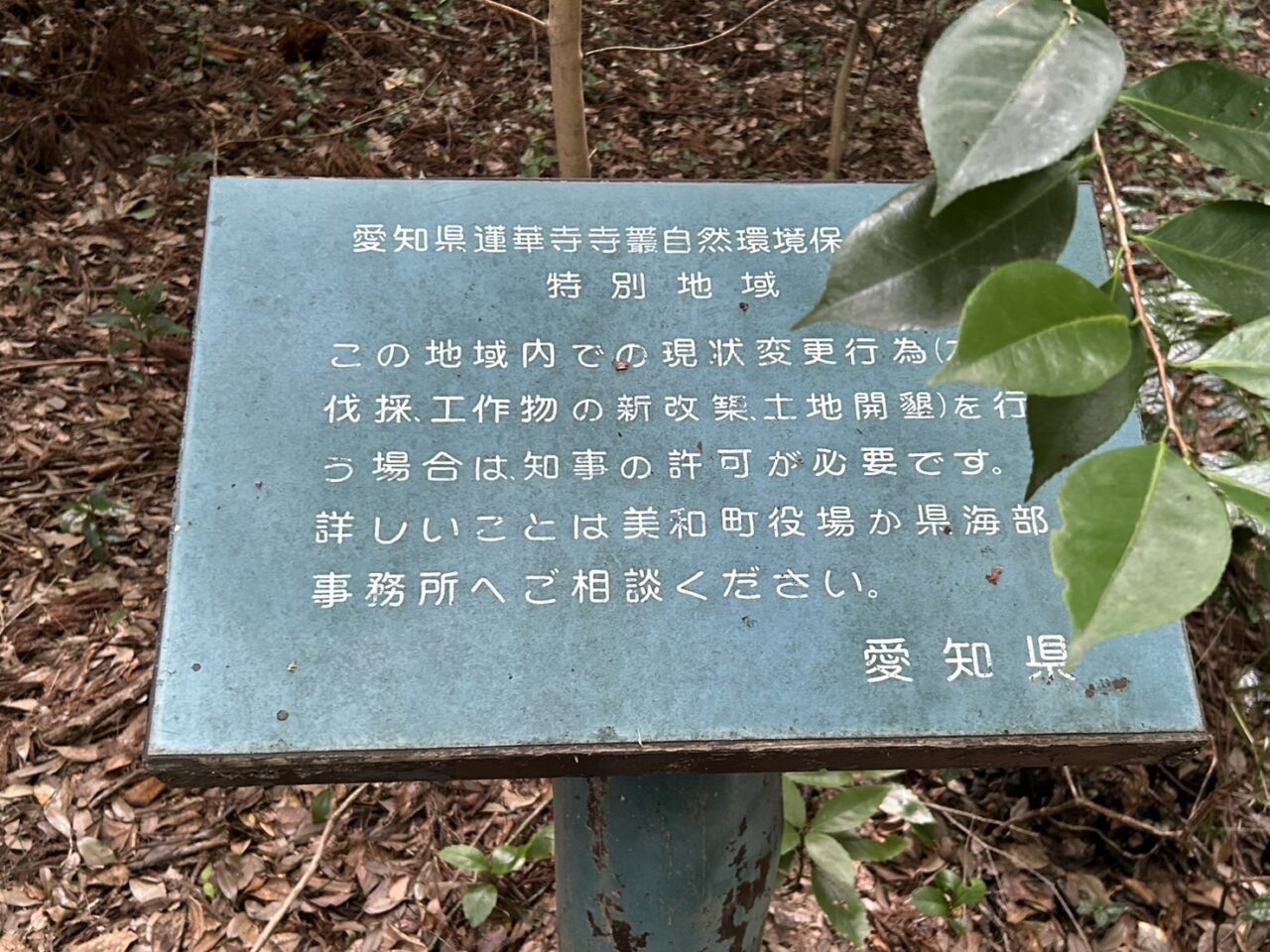 蓮華寺寺叢の森の中に設置された案内看板
