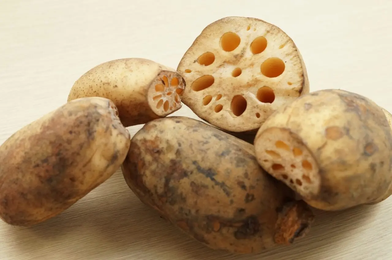 レンコンのイメージ画像