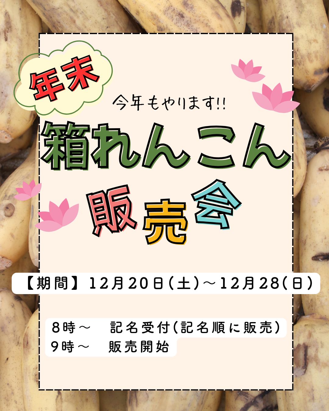 道の駅ふれあいの里HASUパーク」で開催される年末の箱れんこん販売会告知画像