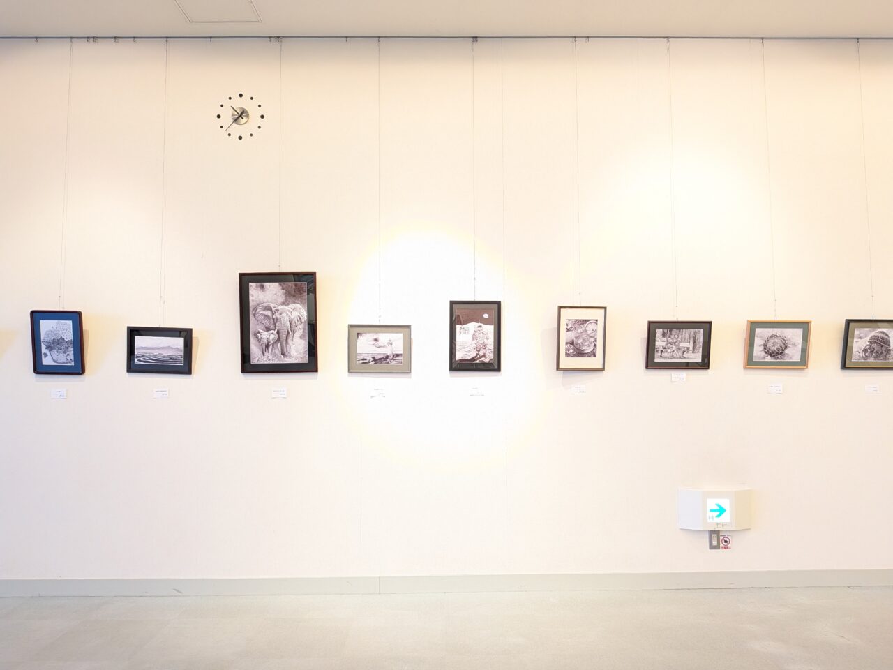 会場に展示されたボールペン画作品の一部（正面）