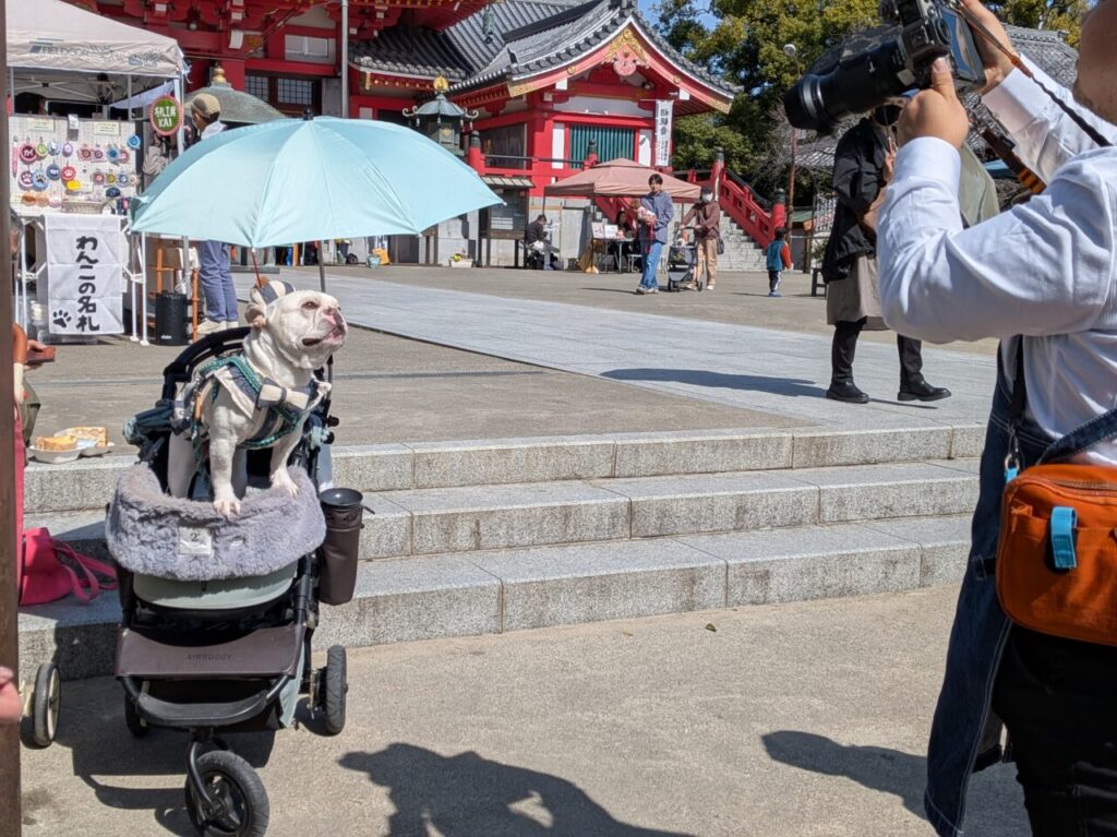 わんこマルシェ当日の甚目寺観音の様子