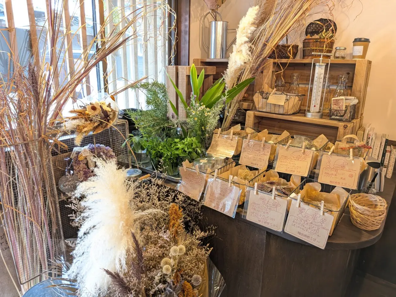 店内で販売・展示されている小分けにされたドライハーブや植物