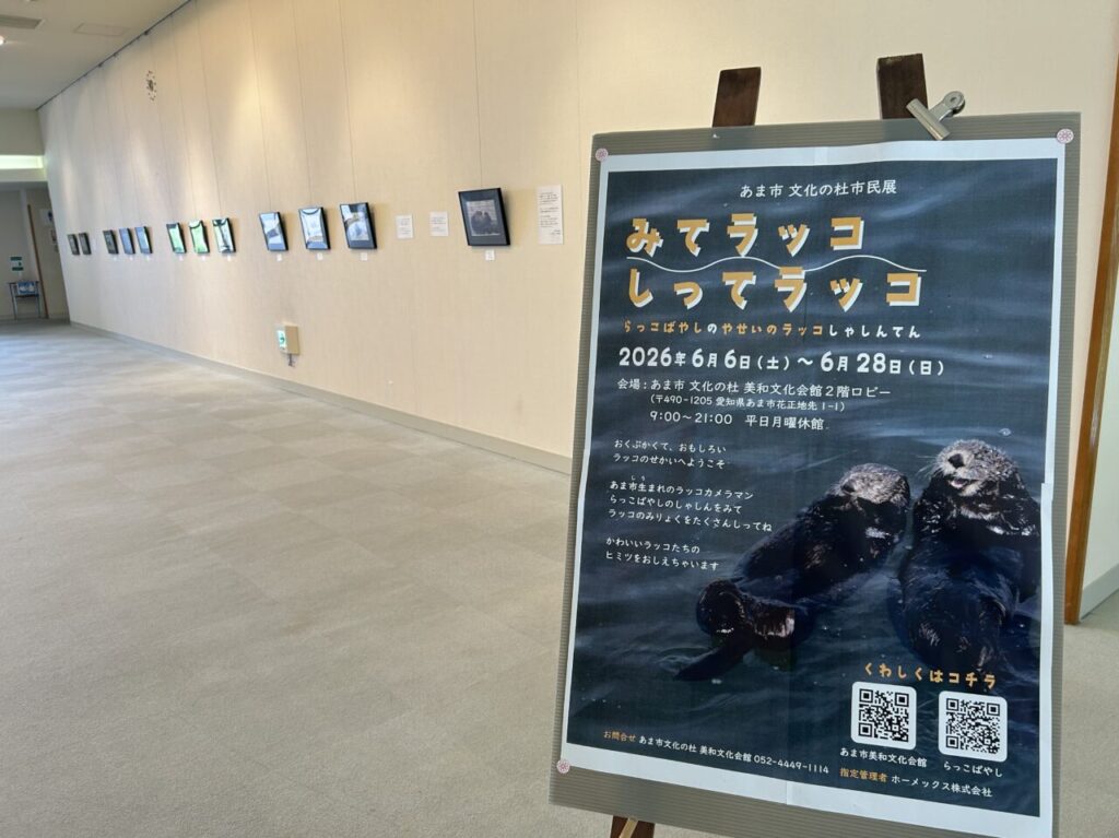 あま市文化の杜美和文化会館で開催されている野生のラッコ写真展