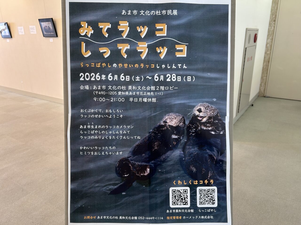 あま市文化の杜美和文化会館で開催されている野生のラッコ写真展の案内ポスター