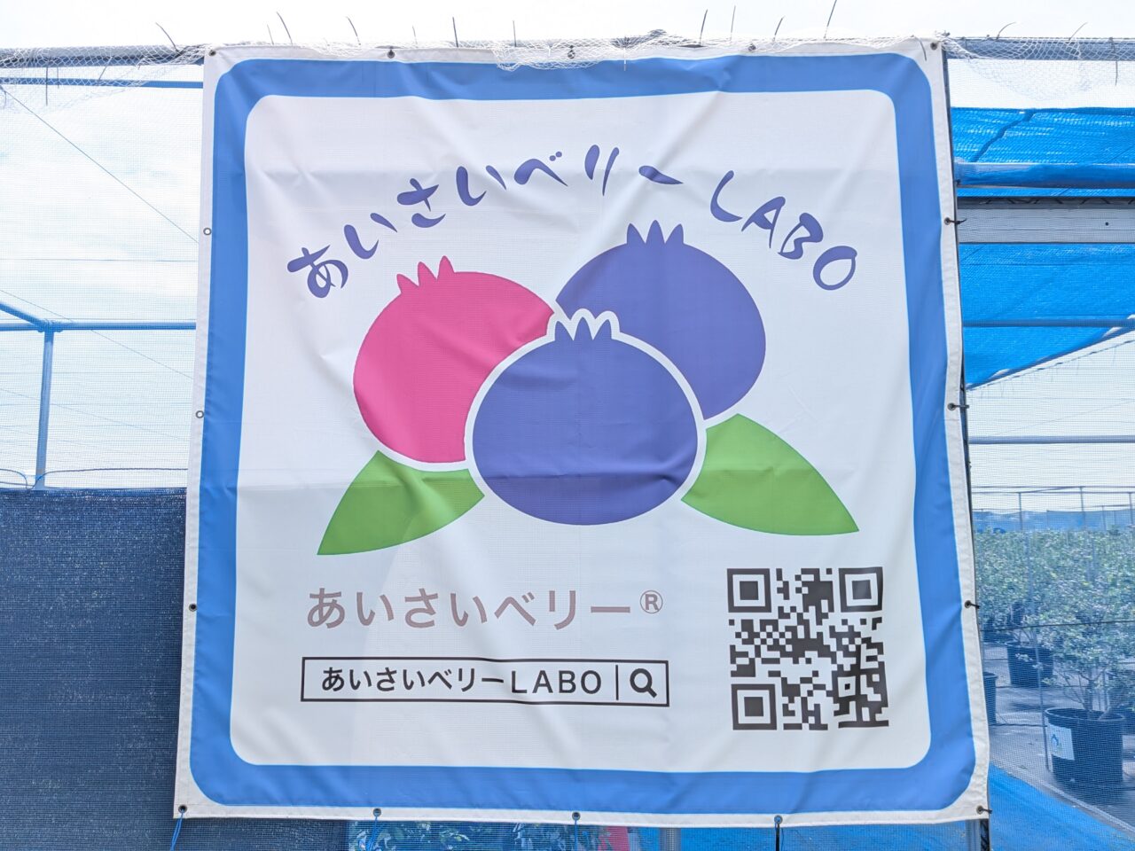 愛知県愛西市早尾町にあるブルーベリー農園あいさいベリーＬＡＢＯのタペストリー