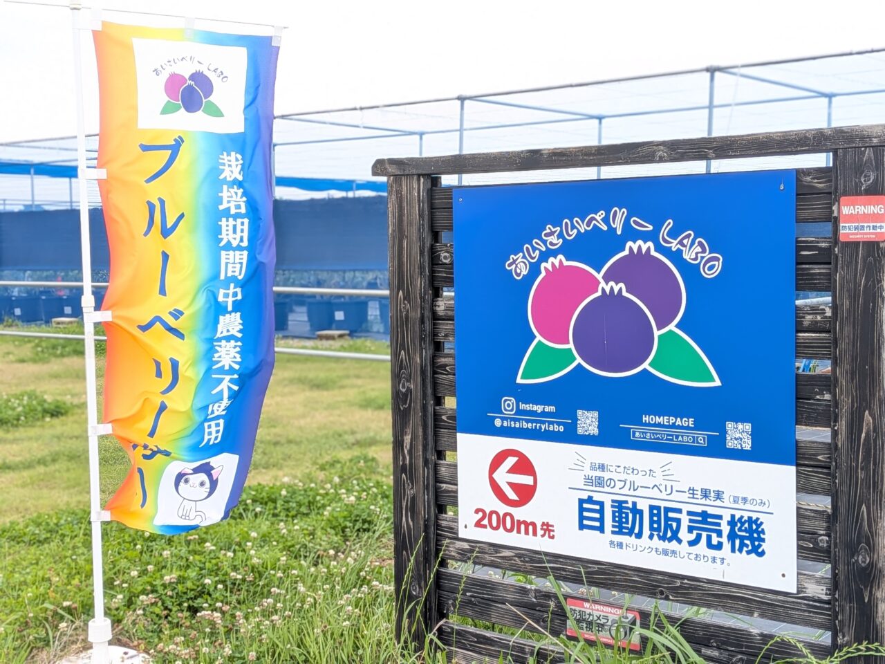 ■代替テキスト
あいさいベリーＬＡＢＯの第2農園に設置されている生ブルーベリー自動販売機の案内看板の写真